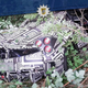 Illustration for article titled Pagani Huayra Roadster Test Mule Crashes Into A Tree